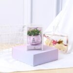 Lovely Simulation Green Rose Bonsai Plant Small Potted Garden Small Ornament Set Room Decoration - Image 4