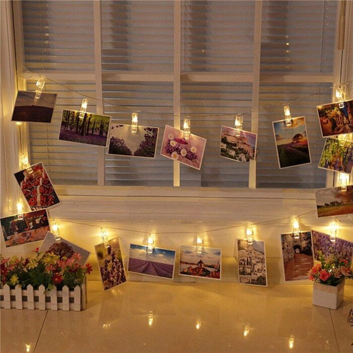  - Image 6