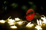 Mooyee Bluetooth Portable Speakers Aero Wireless Speaker Superior Stereo Sound Mini Fan Design - Image 7