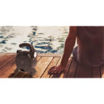 Sugar 8 Portable Lightweight Bluetooth Speaker with Built-In Torch - Image 3