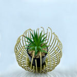 Artisan Crafted High-Quality Metal Alloy Sphere Planter For Elegant Room Decor - Image 7