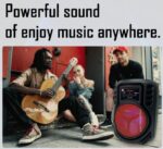 KTS-1507 8 Inch Karaoke Microphone Speaker Party Wireless Portable Speaker - Image 7