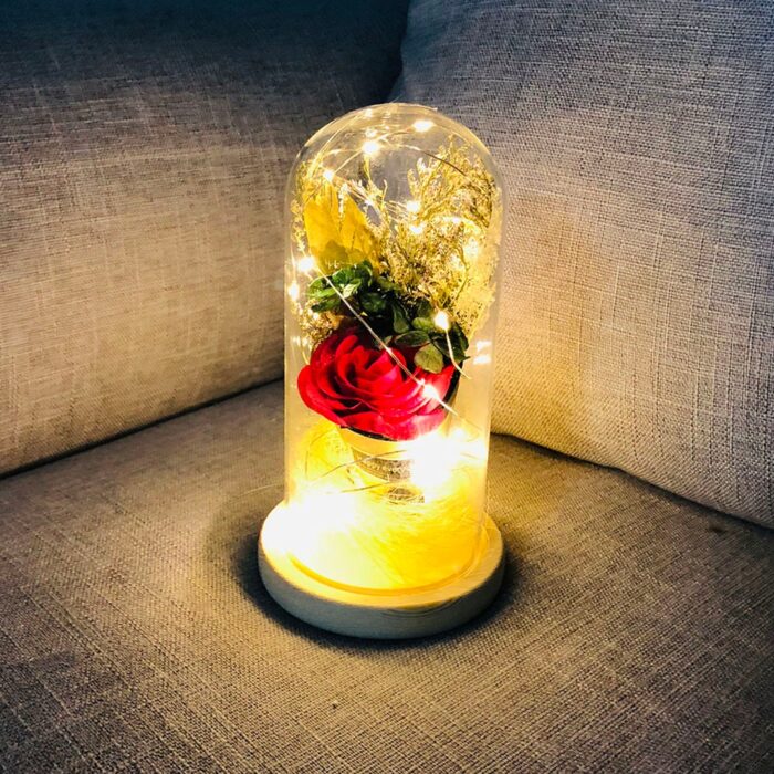 LED Night Light Artificial Rose Glass Shade String Light Home Decoration - Image 8