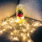LED Night Light Artificial Rose Glass Shade String Light Home Decoration - Image 3