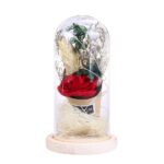 LED Night Light Artificial Rose Glass Shade String Light Home Decoration - Image 2