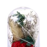 LED Night Light Artificial Rose Glass Shade String Light Home Decoration - Image 4