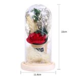 LED Night Light Artificial Rose Glass Shade String Light Home Decoration - Image 5