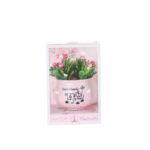 Lovely Simulation Green Rose Bonsai Plant Small Potted Garden Small Ornament Set Room Decoration - Image 7