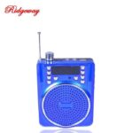 Ridgeway SPE-558A Bluetooth FM Portable Radio Speaker Rechargeable USB SD AUX - Image 3